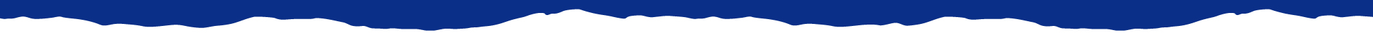 vhcb-Dark-Blue-White-Rip-Divider